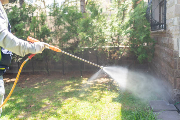 Best Residential Pest Control  in Morrice, MI